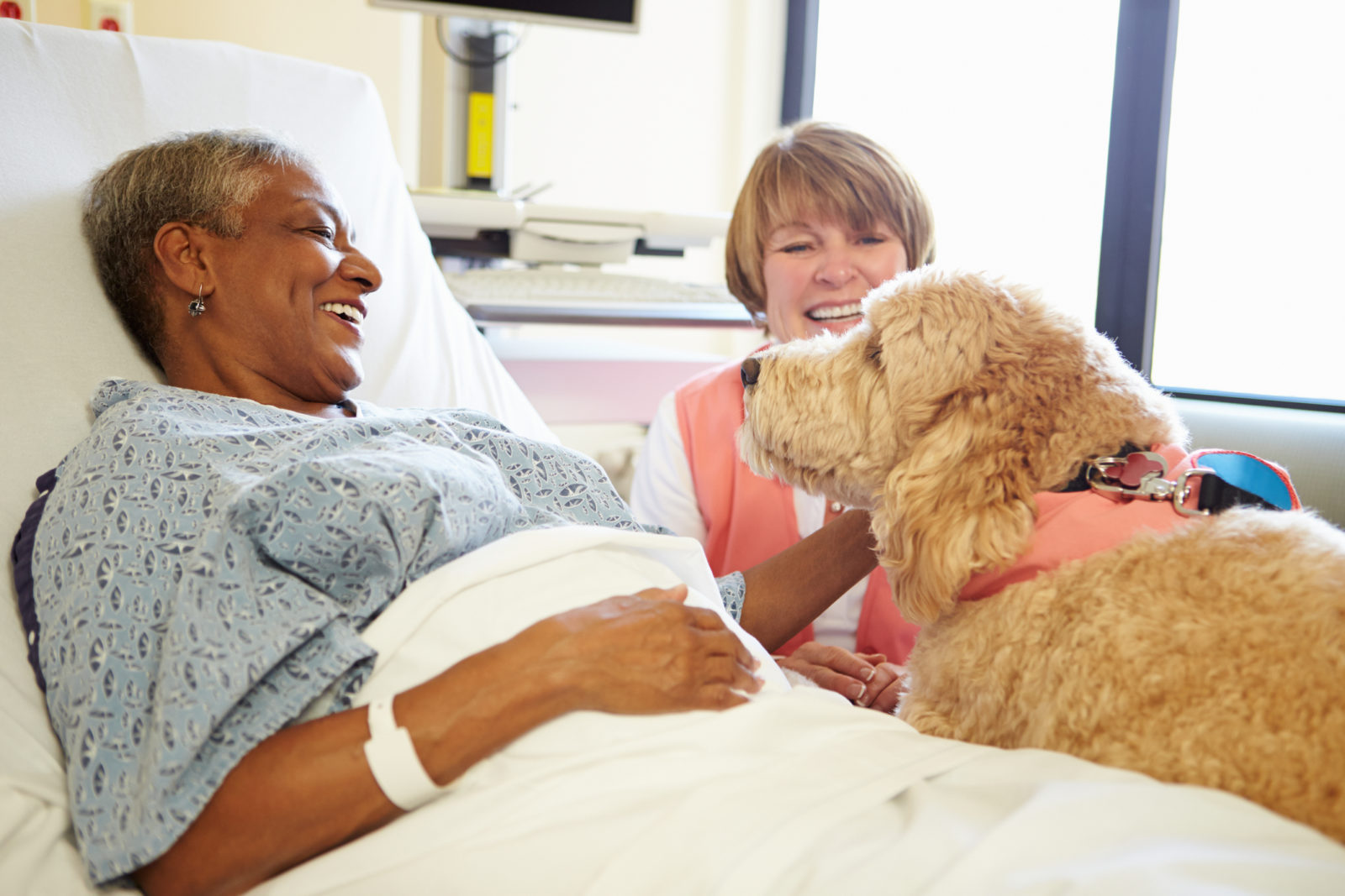 Pet Therapy Dog And Handler Visiting Senior Female Stroke Patient In Hospital